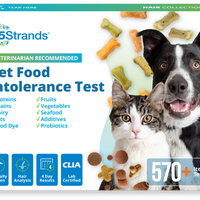 Pet Food Intolerance Test