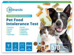 Pet Food Intolerance Test