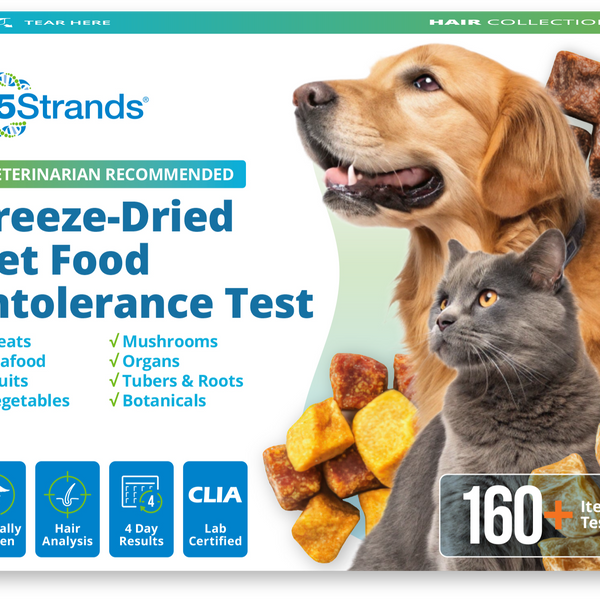 Pet freeze-dried food intolerance test