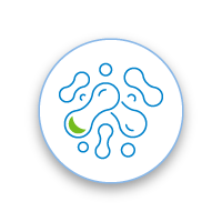 Nutrition icon