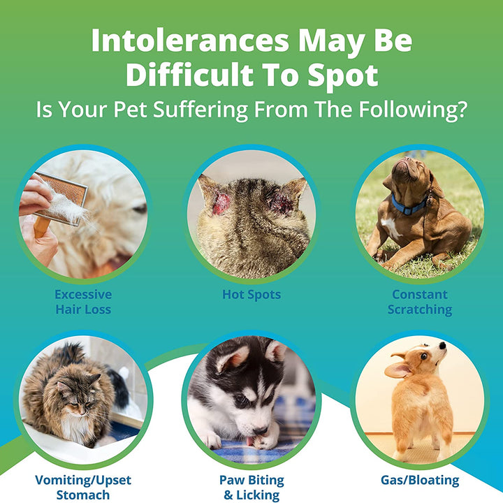 Pet Raw Food Intolerance Test (Previous Hair Sample Required)