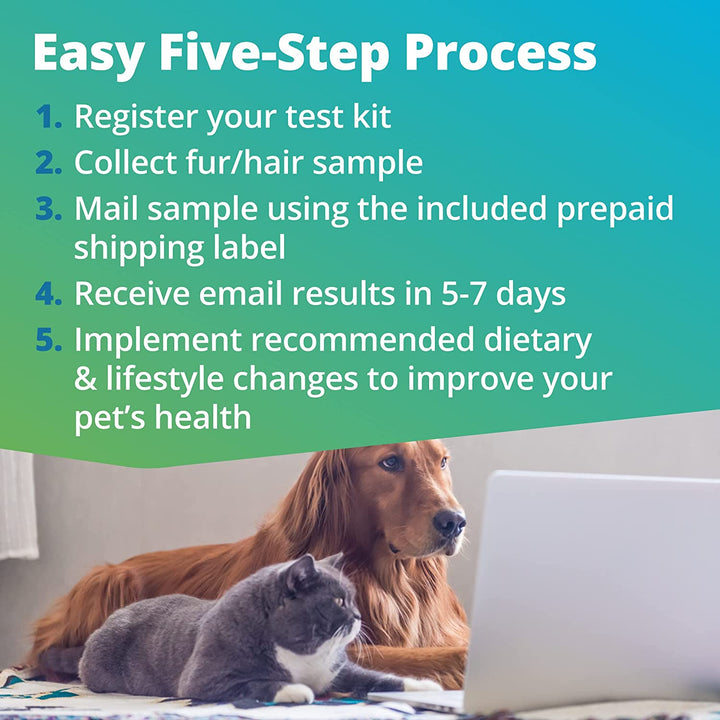 Pet Raw Food Intolerance Test (Previous Hair Sample Required)