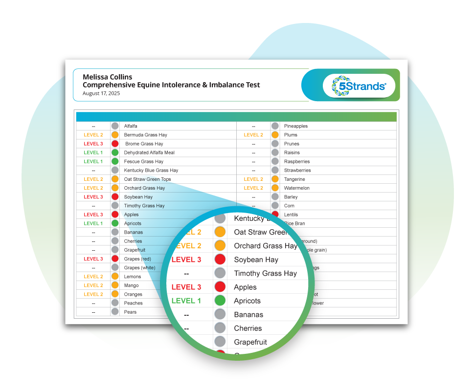 Results image desktop