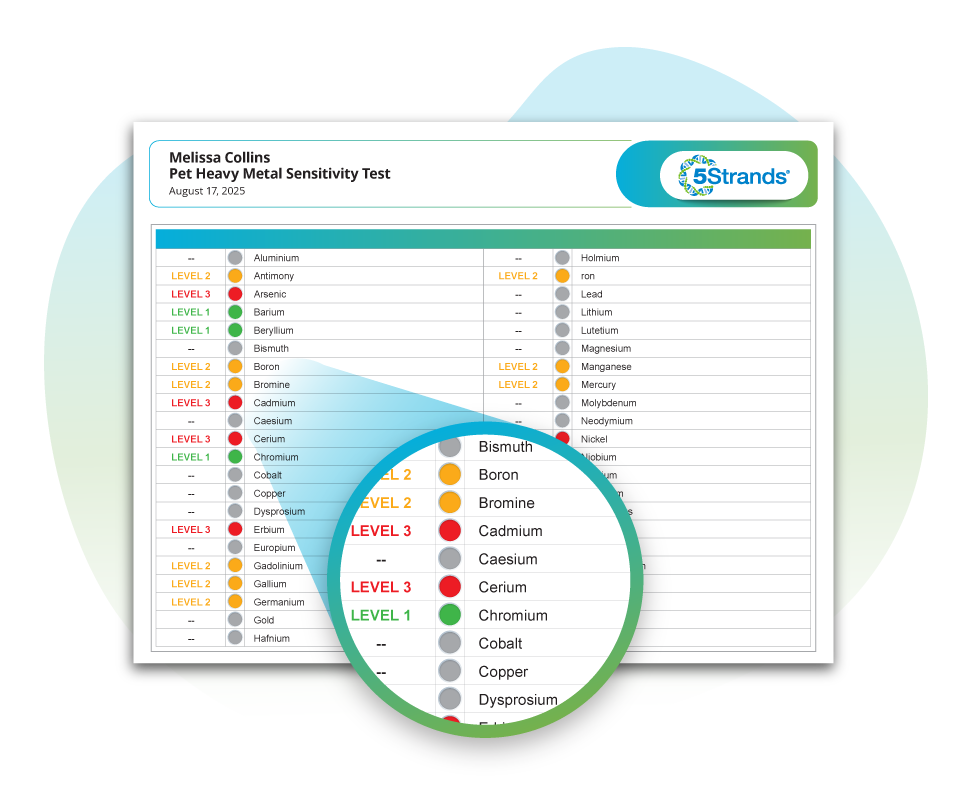 Results image desktop