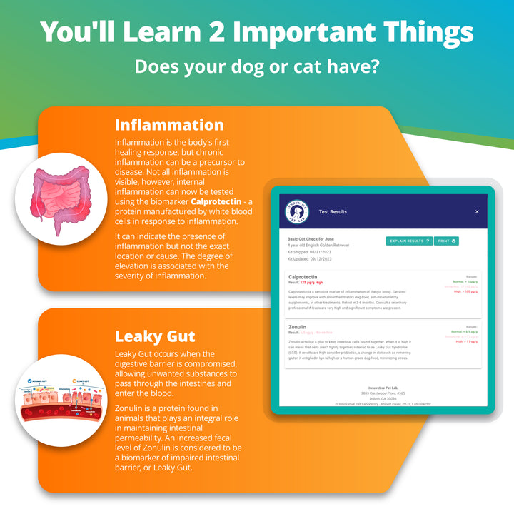 Basic Gut Check