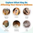 6 common symptoms of food intolerance environmental sensitivity and nutritional imbalances that horses can experience.