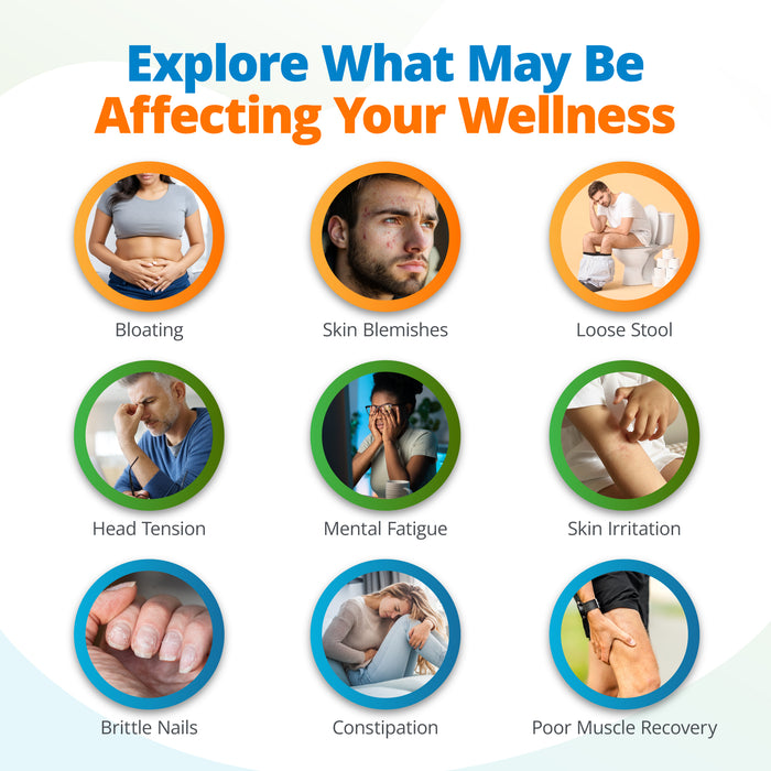 Comprehensive Health & Wellness Assessment