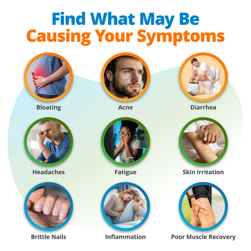 Comprehensive Health & Wellness Assessment