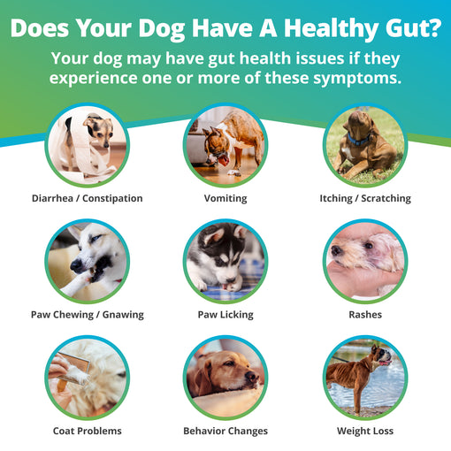 Comprehensive Review Gut Check