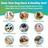 Comprehensive Review Gut Check