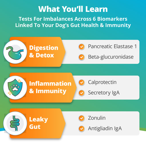 Comprehensive Review Gut Check