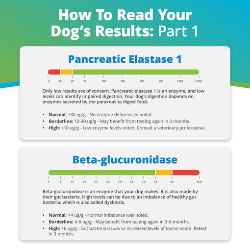 Comprehensive Review Gut Check