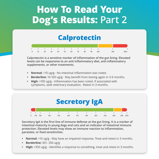 Comprehensive Review Gut Check