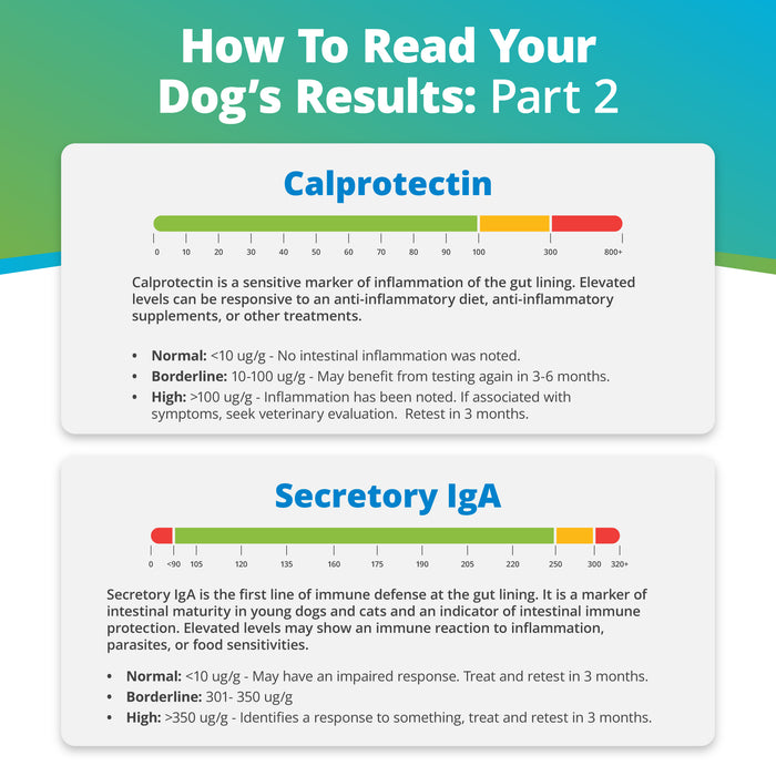 Comprehensive Review Gut Check