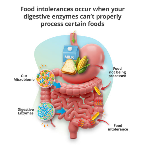 Food Intolerance Test
