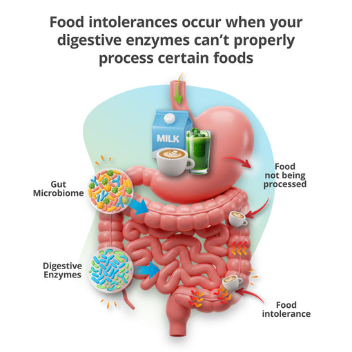 Food & Beverage Intolerance Test (Digital)