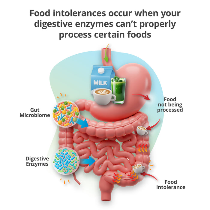 Food & Beverage Intolerance Test (Digital)
