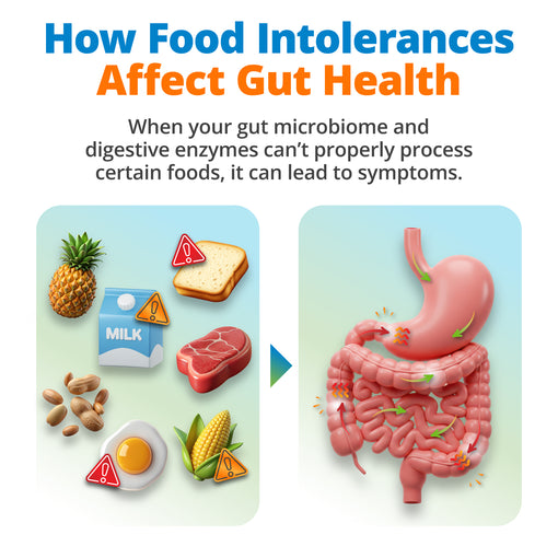 Gut Health Test
