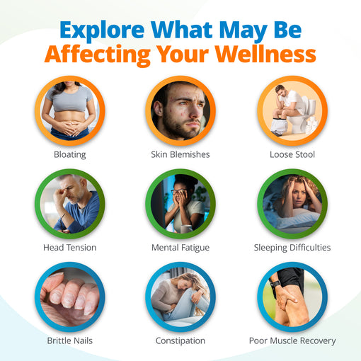 Overview of common symptoms associated with food intolerances, environmental sensitivities, and nutritional imbalances