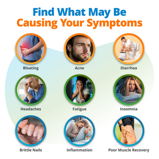 Health & Wellness Assessment