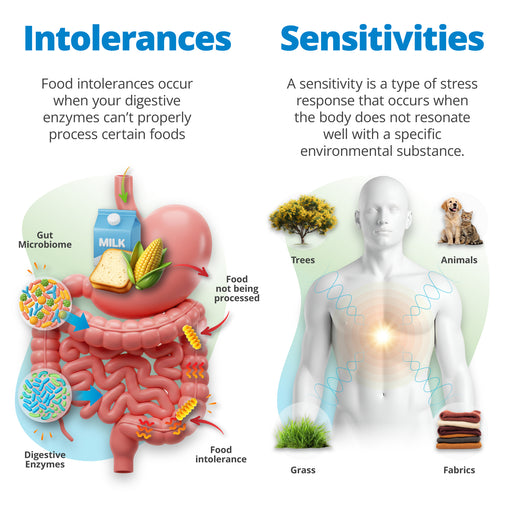 Health & Wellness Assessment