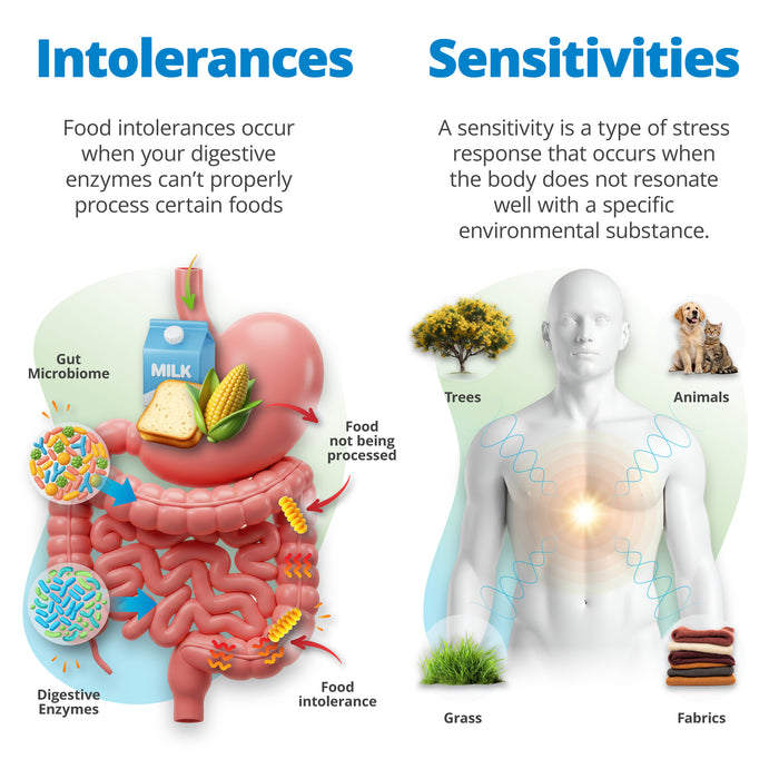 Health & Wellness Assessment