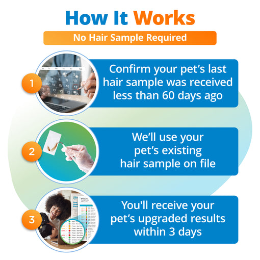 Pet Raw & Fresh Food Intolerance Test (Digital)