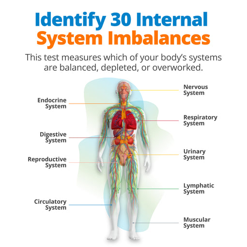 Male Vitality Scan (Upgrade)