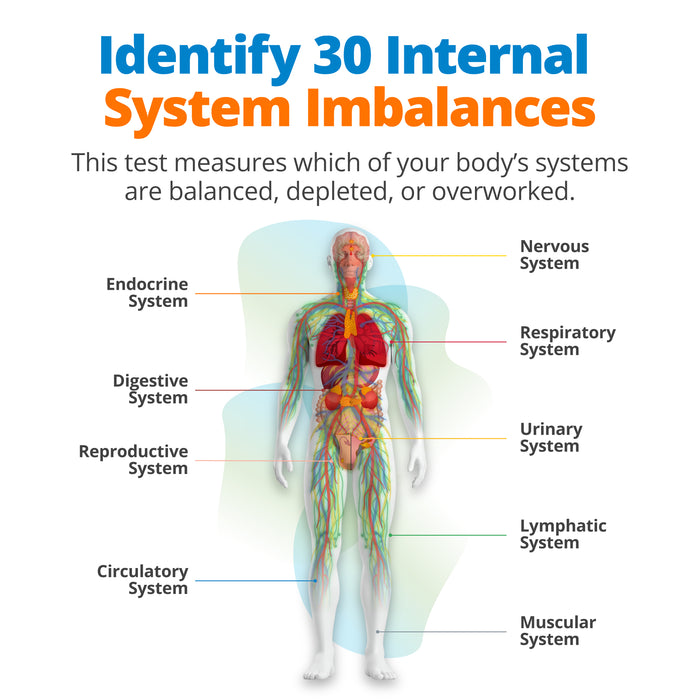 Male Vitality Scan (Upgrade)