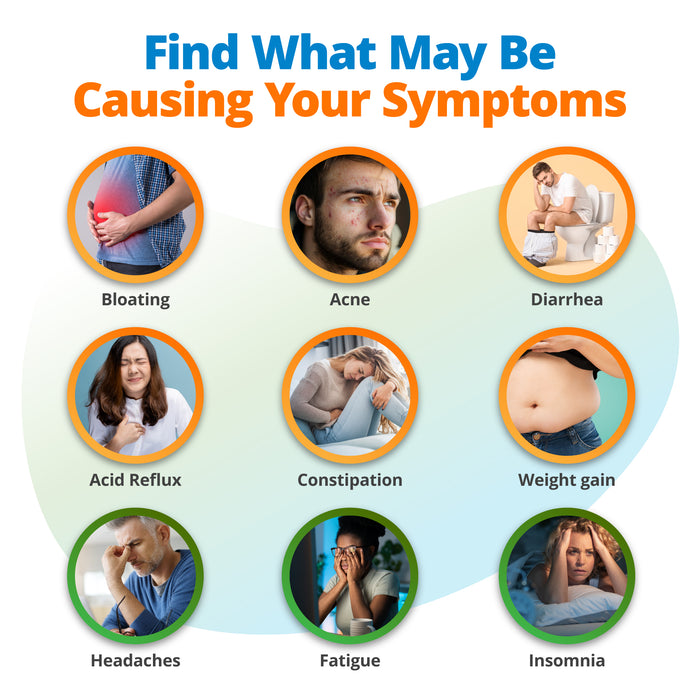 Food Intolerance & Environmental Sensitivity Test (Wholesale, 6 Pack)