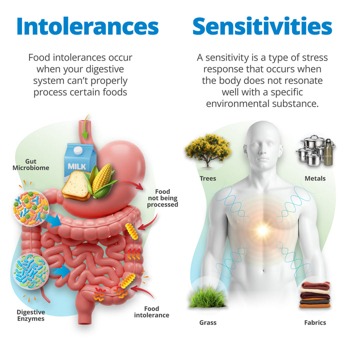 How food intolerances and metal-related environmental sensitivities affect the body, with digestive system responses and reactions to everyday environmental exposures