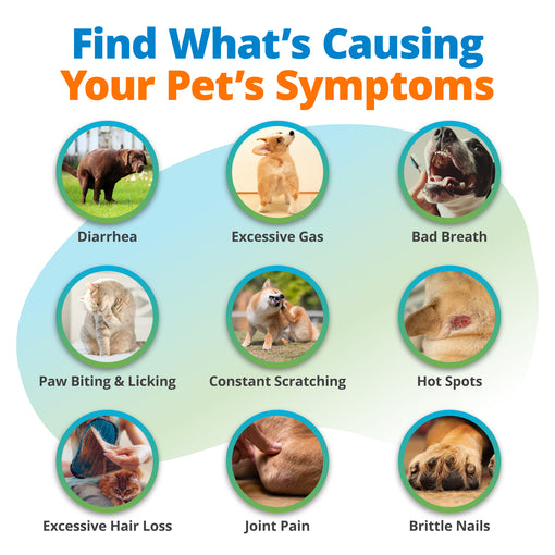 Comprehensive Pet Health Assessment