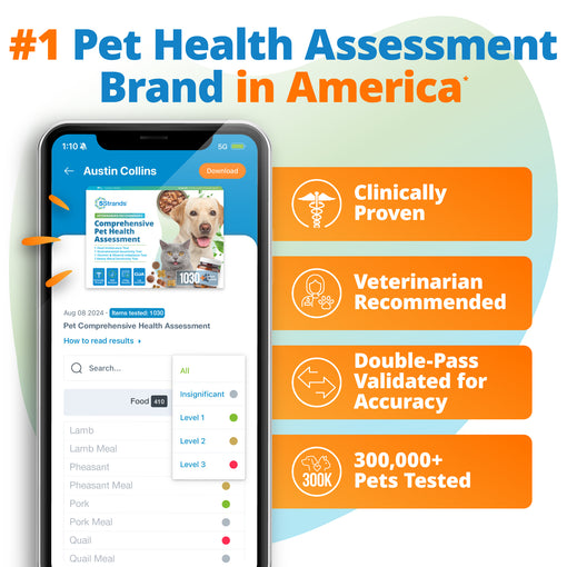 Comprehensive Pet Health Assessment