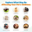 Dog and cat symptoms from food intolerances, environmental sensitivities, and nutritional imbalances