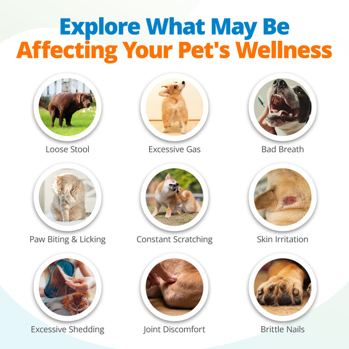 Dog and cat symptoms from food intolerances, environmental sensitivities, and nutritional imbalances