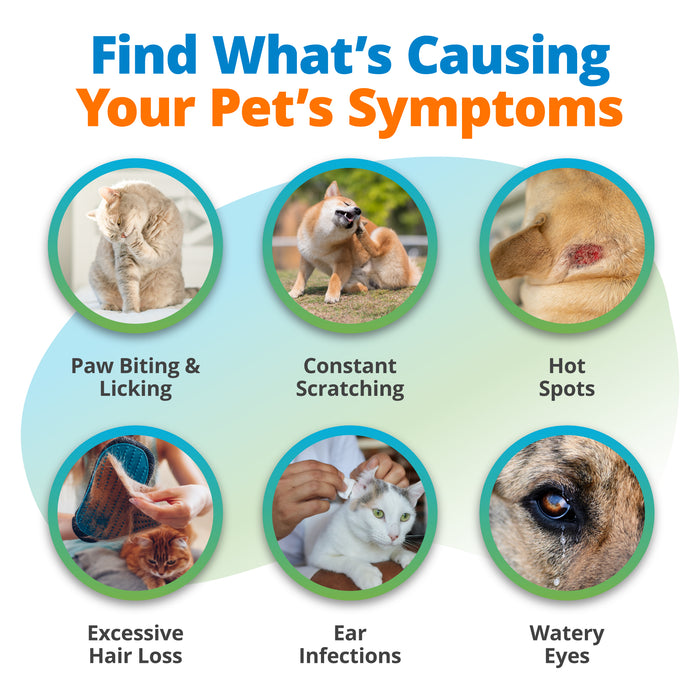 Pet Environmental Sensitivity Test