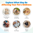 Six common food intolerance symptoms dogs and cats experience.