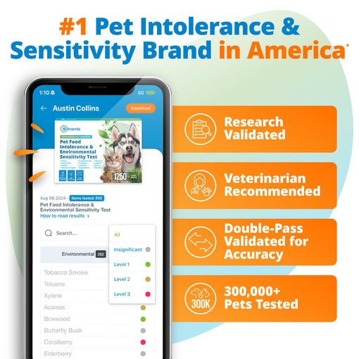 Pet Food Intolerance & Environmental Sensitivity Test