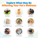 Dog and cat symptoms caused by food intolerances and environmental sensitivities