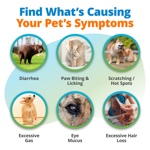 Pet Food Intolerance Test