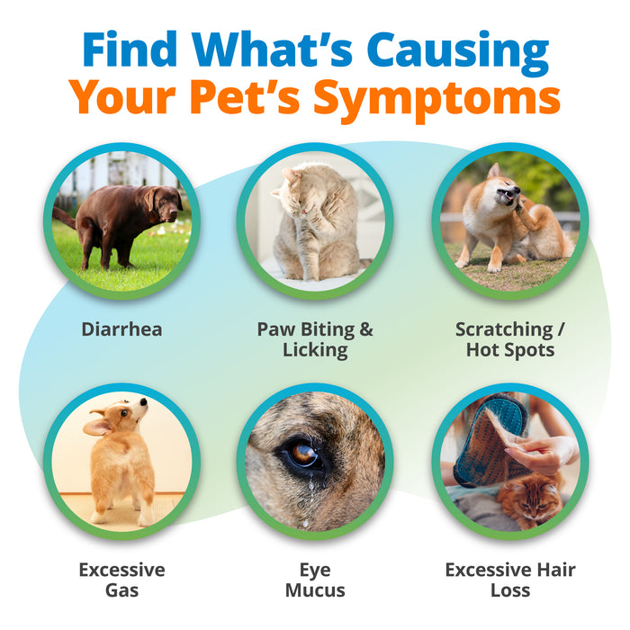 Pet Food Intolerance Test