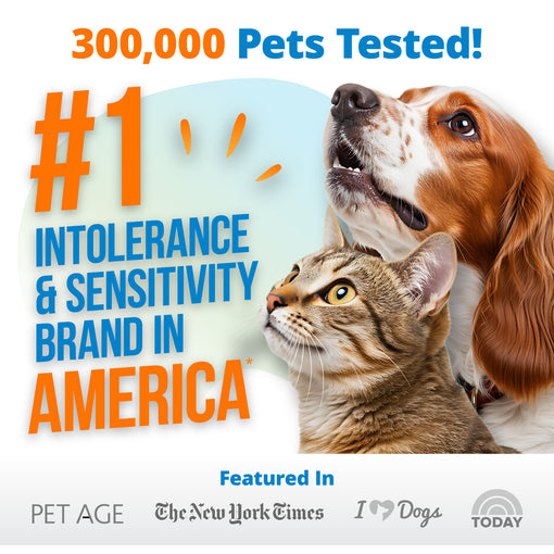 Pet Food Intolerance Test