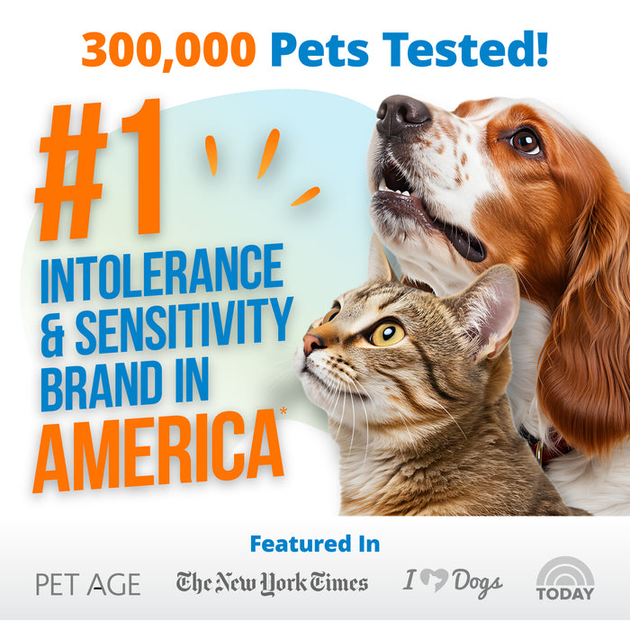 Pet Food Intolerance Test