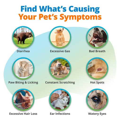 Pet Food Intolerance & Environmental Sensitivity Test