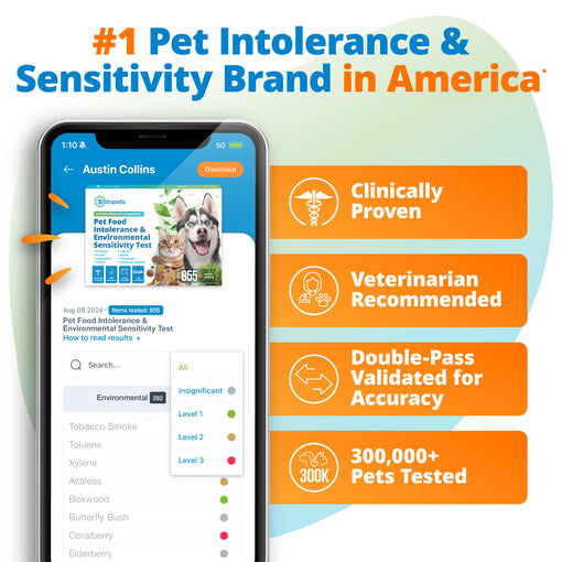 Pet Food Intolerance & Environmental Sensitivity Test