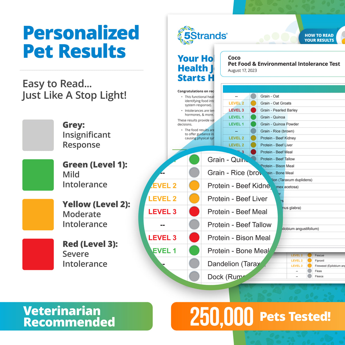 Pet Food & Environmental Intolerance Test