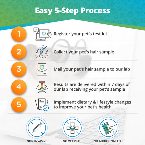 Pet Food & Environmental Intolerance Test