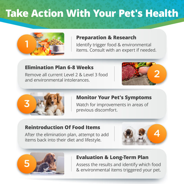 Pet Food & Environmental Intolerance Test (Dogs & Cats) 5Strands