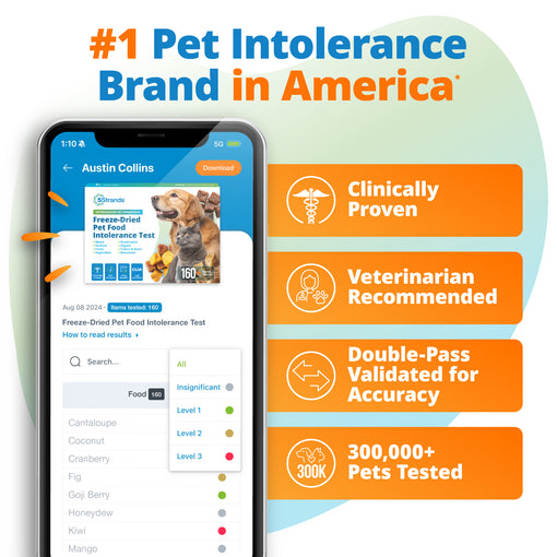 Freeze-Dried Pet Food Intolerance Test