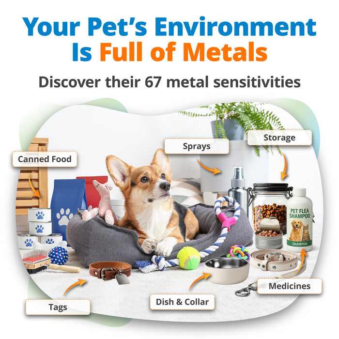Pet Heavy Metal Sensitivity Test